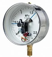 ДМ2005ф 40 МПа кл.1,5 исп IV IP54 SG УТ000008563